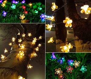 Garden Lights : Best Way to light up your gardens