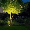 Garden Lights : Best Way to light up your gardens