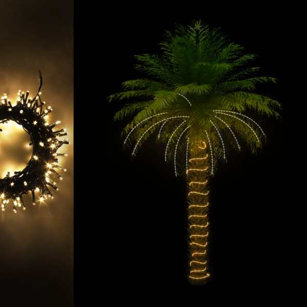 Best way to light up a palm trees Hondel Lighting
